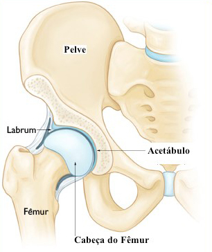 Pubalgia do Atleta - Dr. Anderson Luiz Oliveira